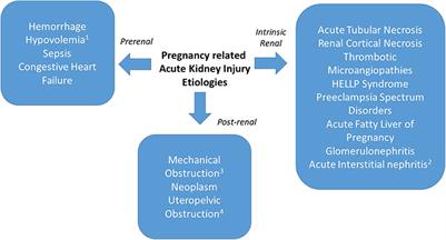 Acute Kidney Injury in Pregnancies Complicated With Preeclampsia or HELLP Syndrome